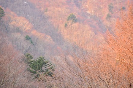 c0303868_08443705.jpg