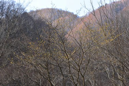 c0303868_08525667.jpg