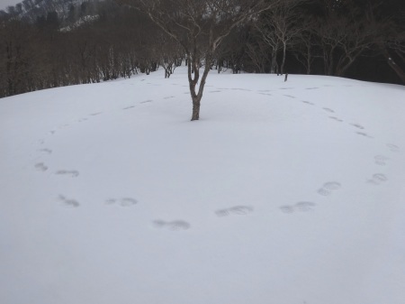c0303868_09150897.jpg