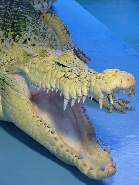 c0105569_02100963.jpg