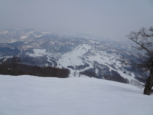 d0193569_65747.jpg