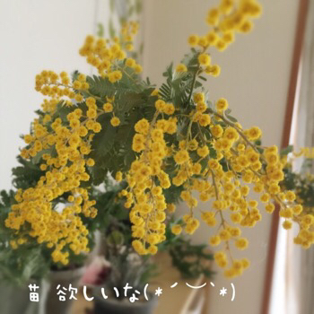 f0322570_17423340.jpg
