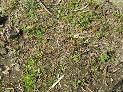b0149071_17325142.jpg