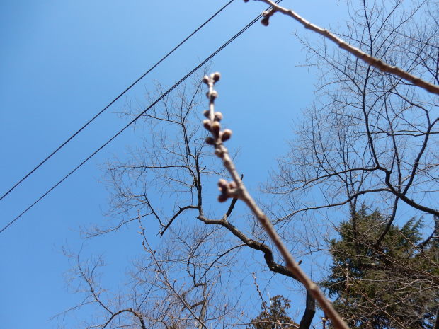 e0355177_13224220.jpg