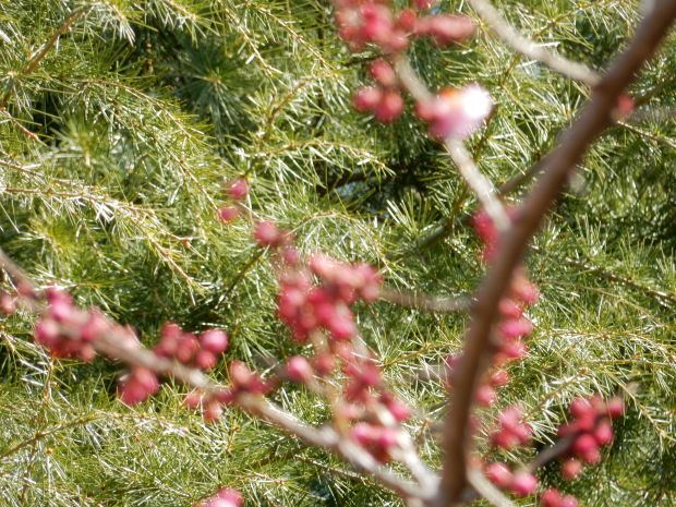 e0355177_13575809.jpg