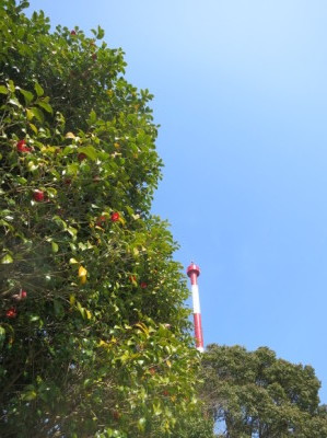 e0012580_12322409.jpg