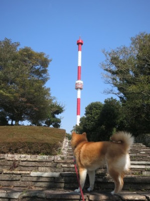 e0012580_12343608.jpg