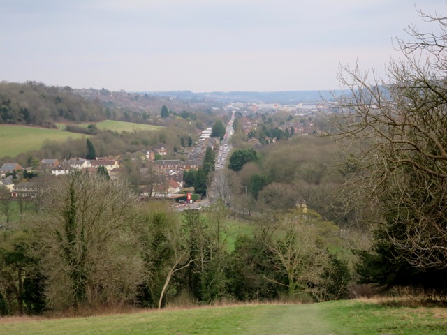 a0208783_2011828.jpg