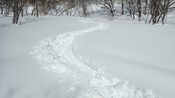 a0242984_09232816.jpg