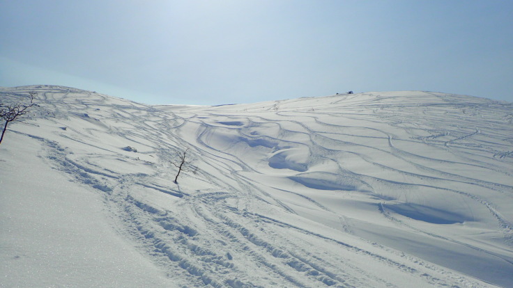 a0242984_10284146.jpg
