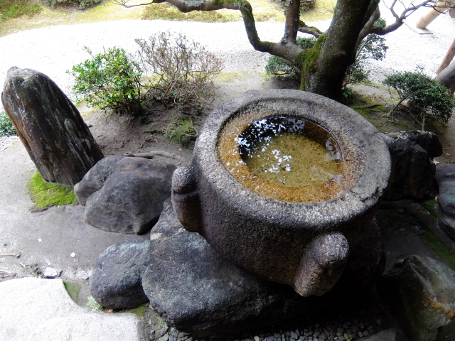 f0100593_19073133.jpg