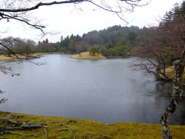 f0100593_19595768.jpg