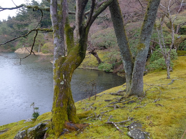 f0100593_20000228.jpg