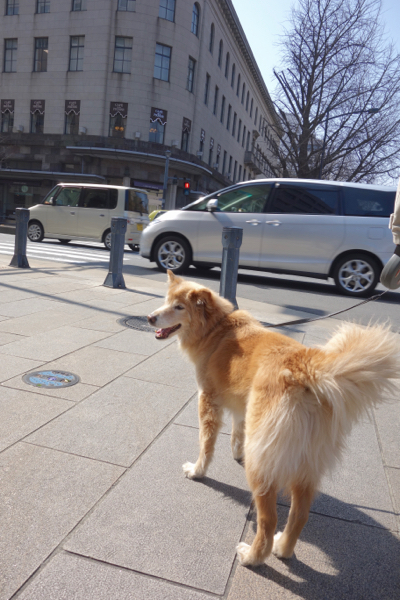 b0099903_16575350.jpg