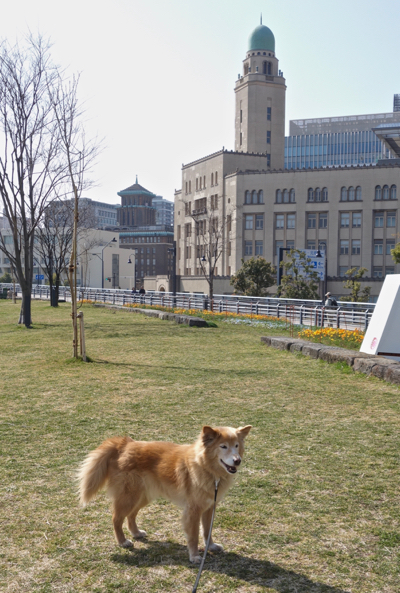 b0099903_1785181.jpg