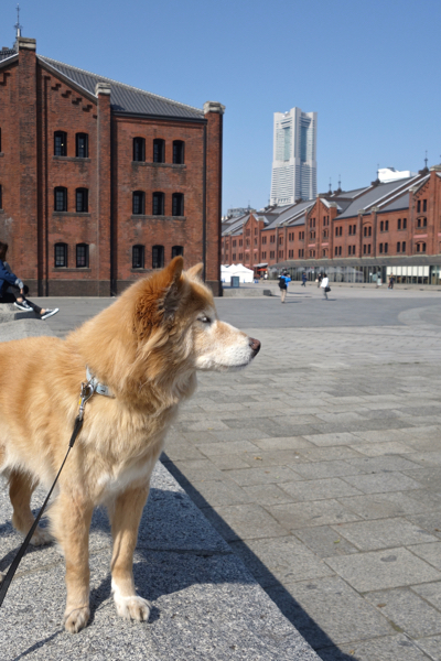 b0099903_1795318.jpg