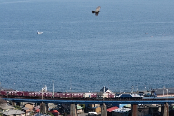 e0005714_21224055.jpg