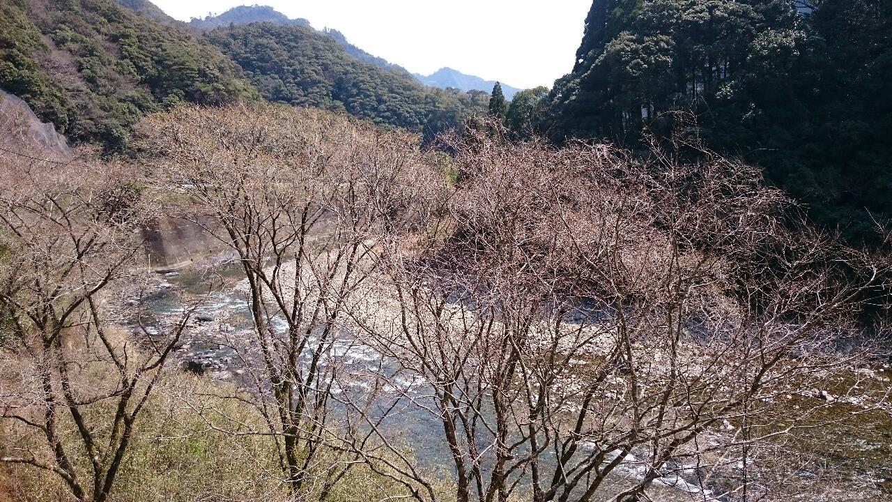 e0350415_13233541.jpg