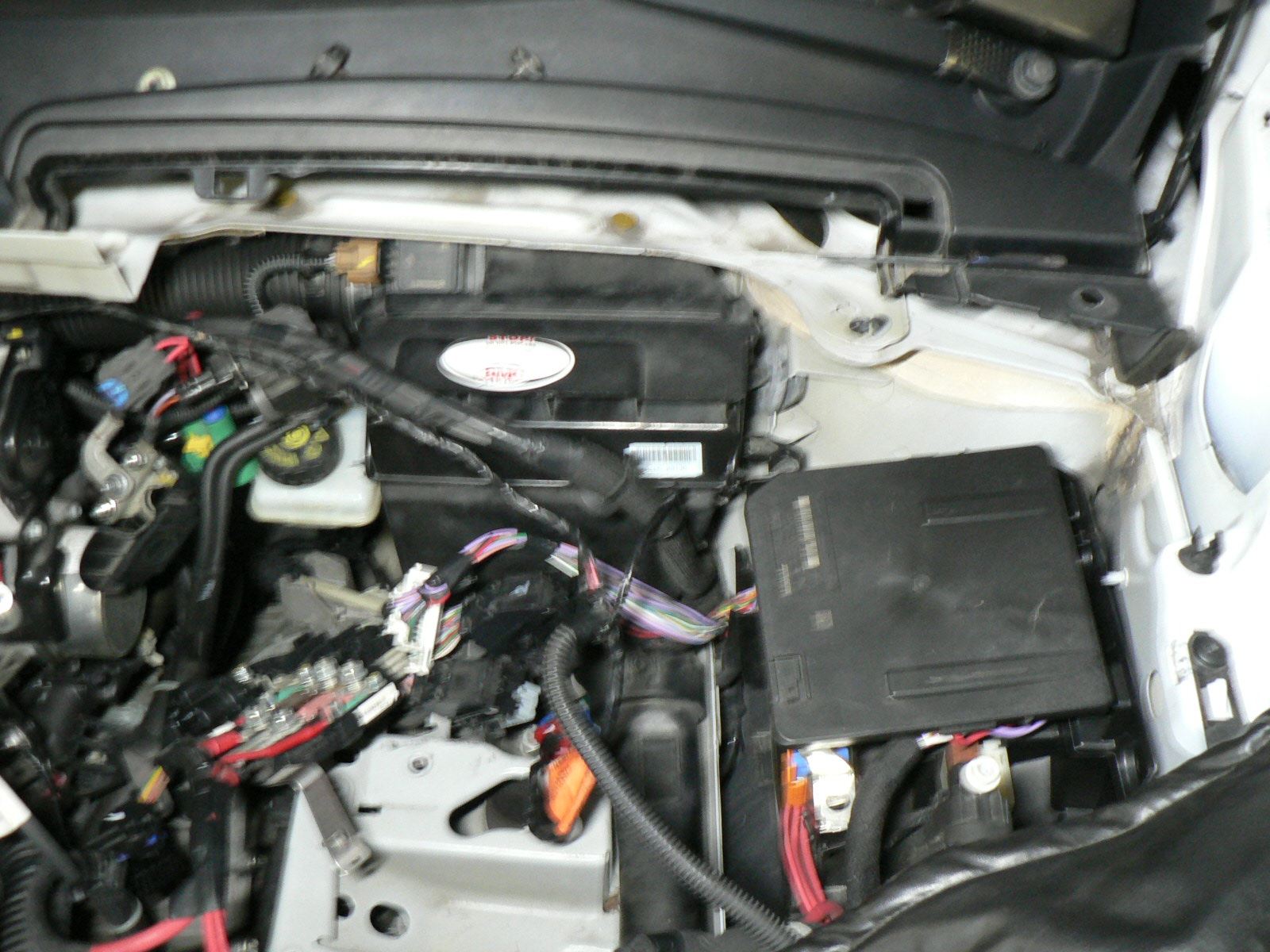 b0144624_201202.jpg
