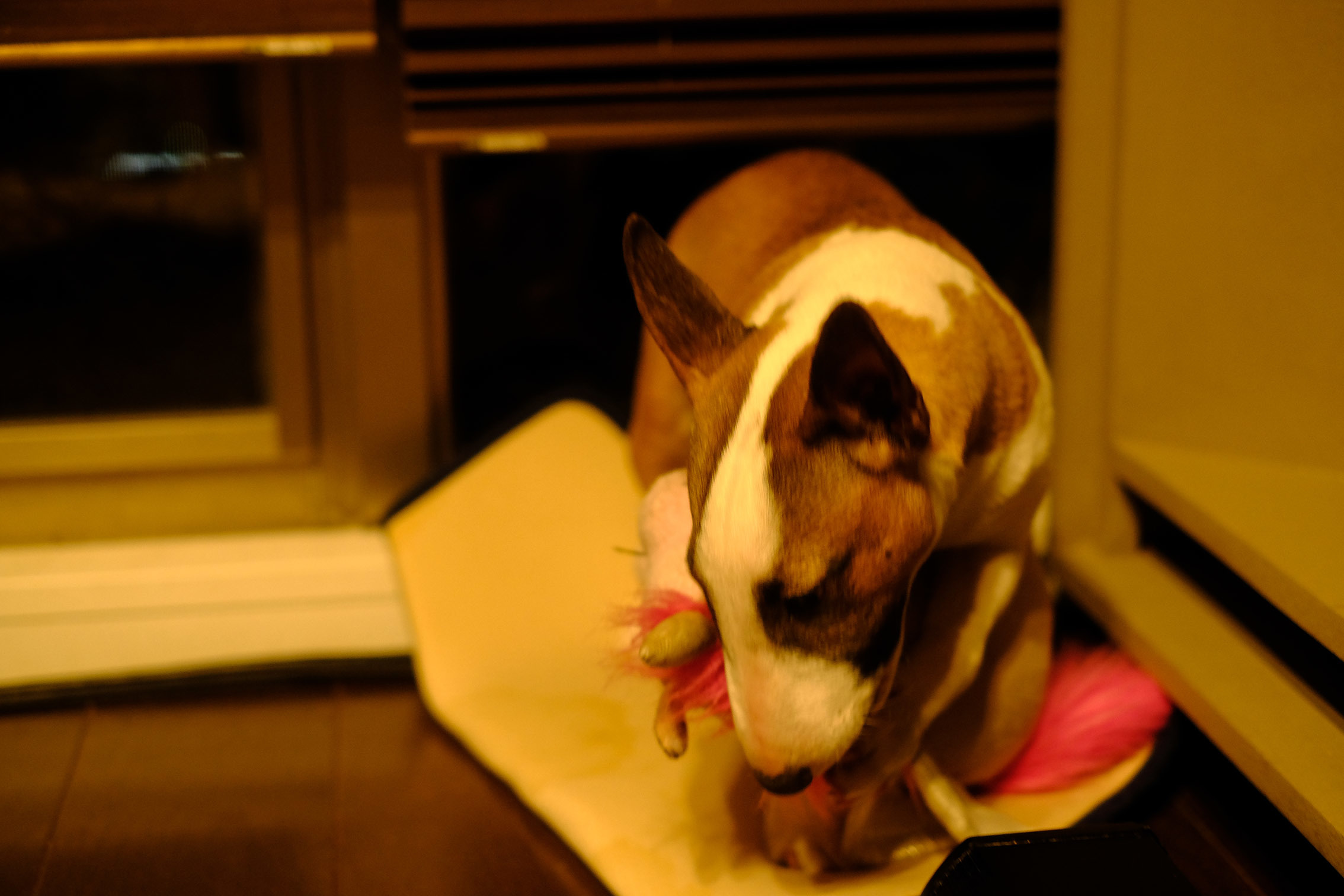 b0310424_14590136.jpg
