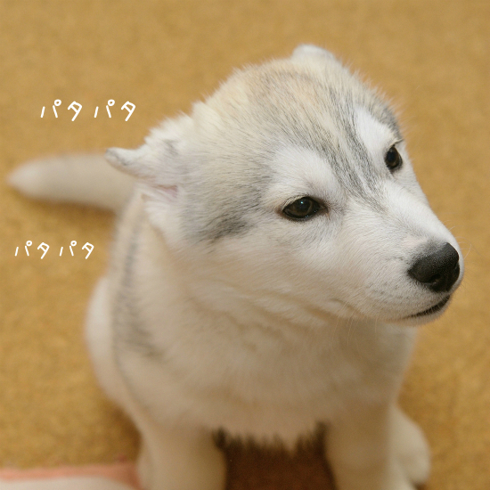 a0047325_00004801.jpg