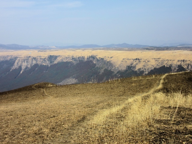 a0248728_22270607.jpg