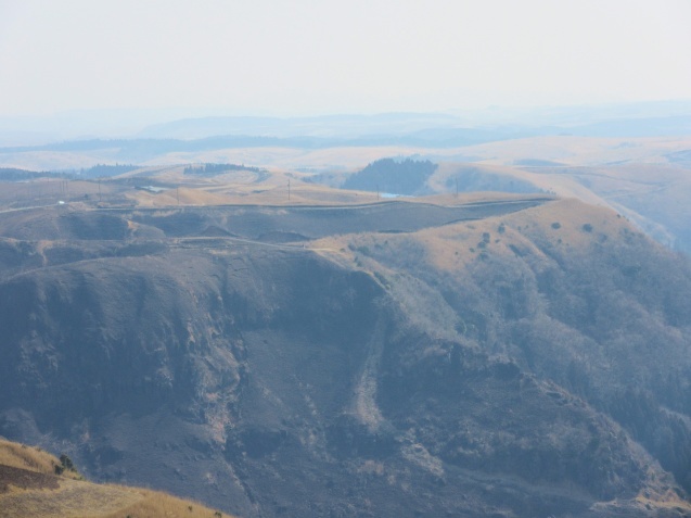 a0248728_22280707.jpg