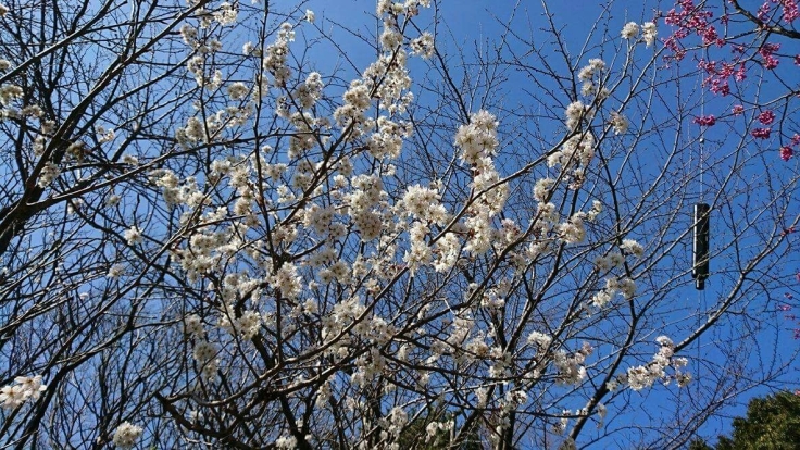 b0098228_00244534.jpg