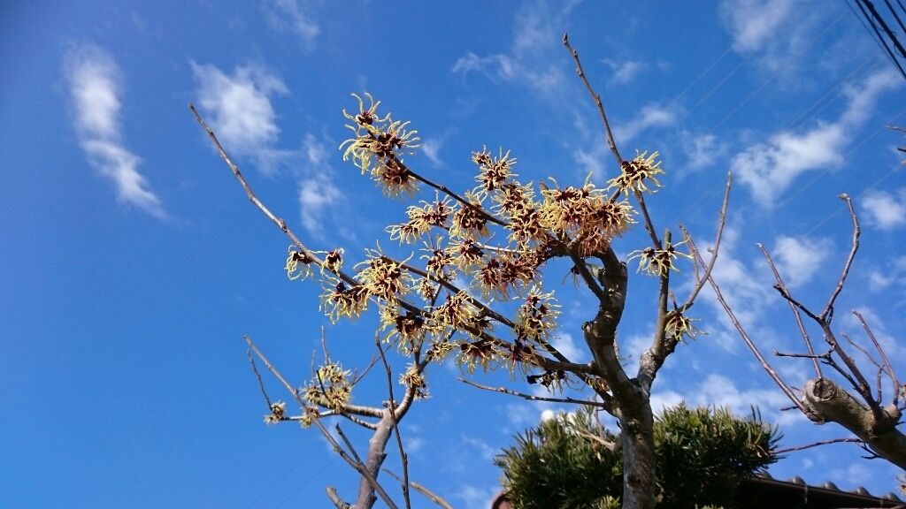 b0098228_00245494.jpg