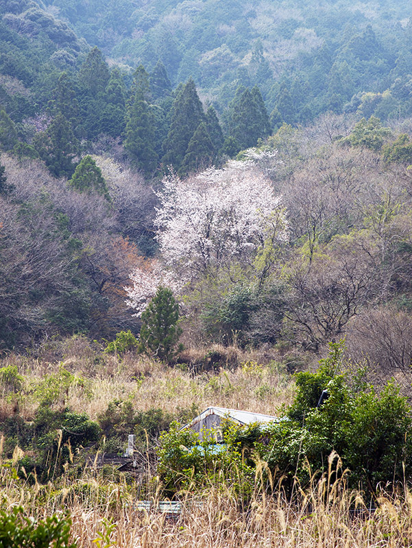 d0147530_10353366.jpg