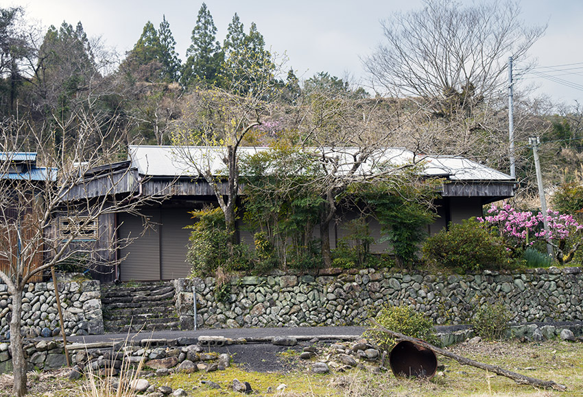 d0147530_1036873.jpg