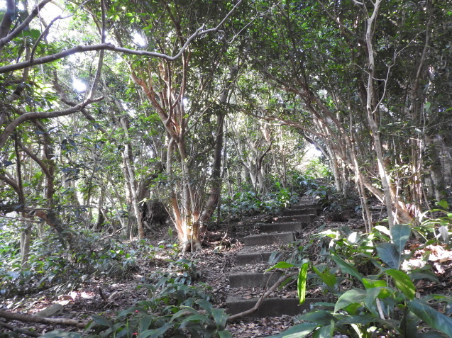 f0118332_00490498.jpg