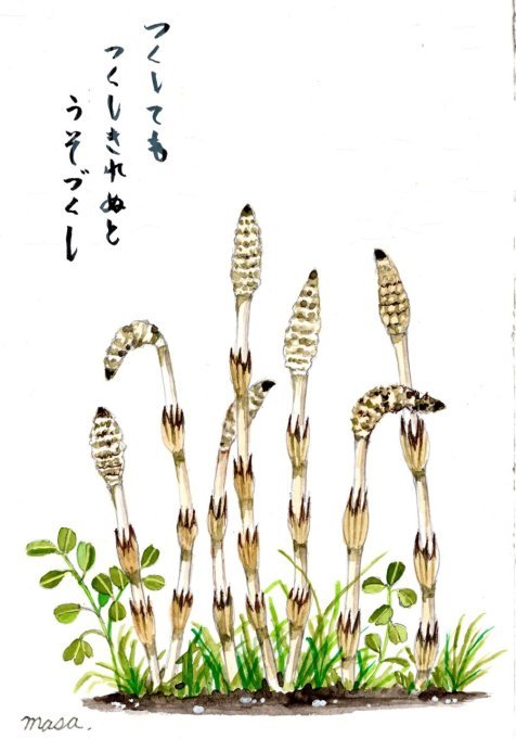 f0142733_20242728.jpg
