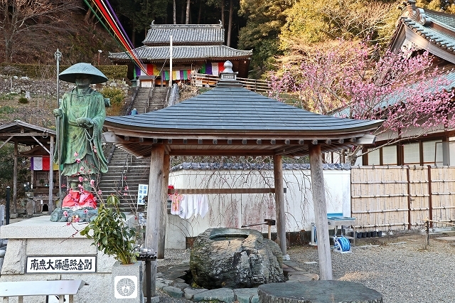 a0242438_20032939.jpg