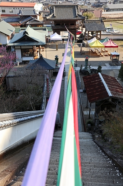 a0242438_20033870.jpg