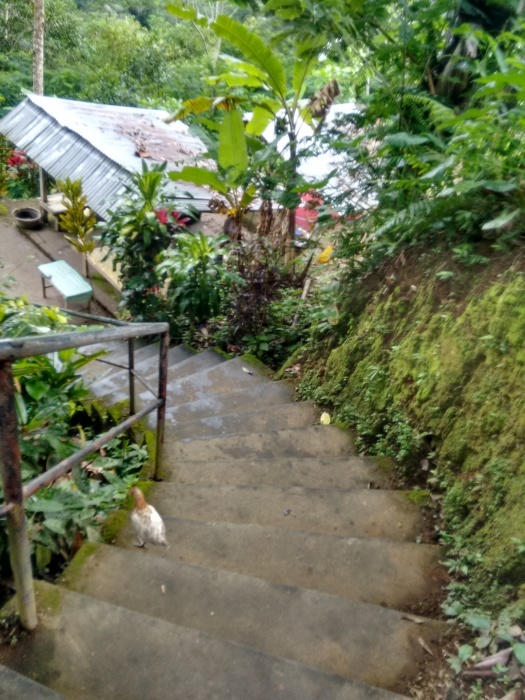 f0088639_22080034.jpg