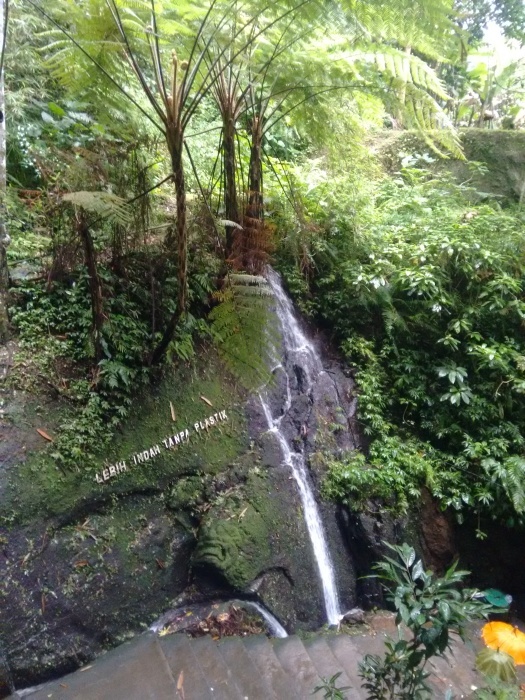 f0088639_22175698.jpg