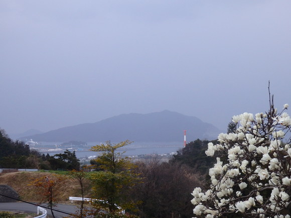 a0054240_20534666.jpg