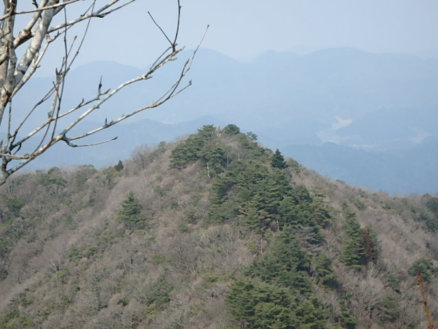 f0334143_94404.jpg