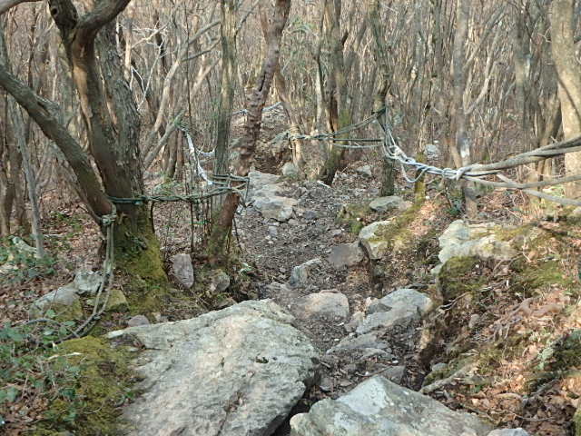 f0334143_945697.jpg