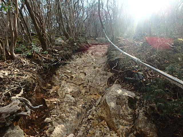 f0334143_9462998.jpg