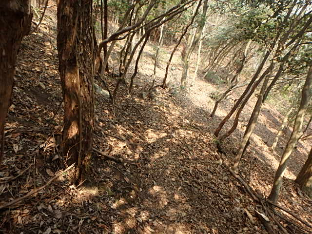 f0334143_9464171.jpg