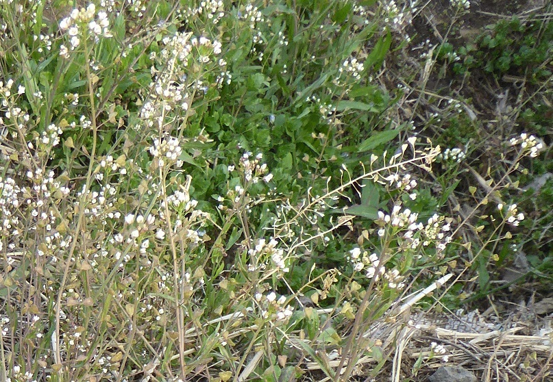 d0288144_12095954.jpg