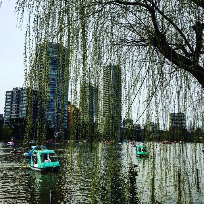 f0189246_18512741.jpg