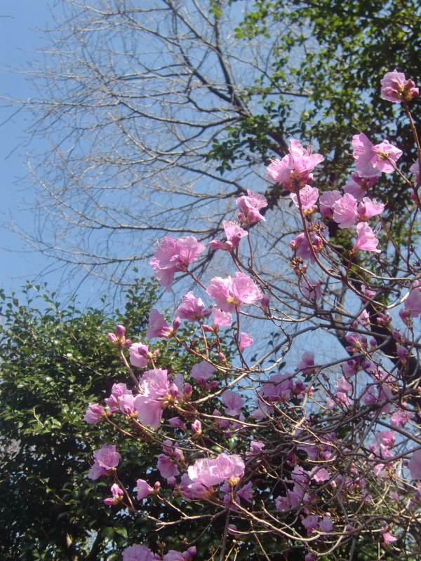 f0329849_22315580.jpg