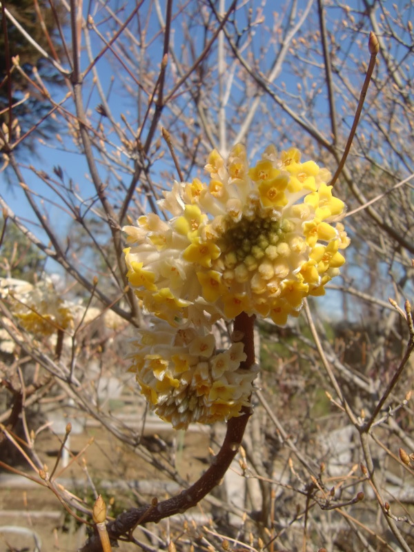 f0329849_22372241.jpg