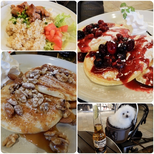 d0118050_16262466.jpg