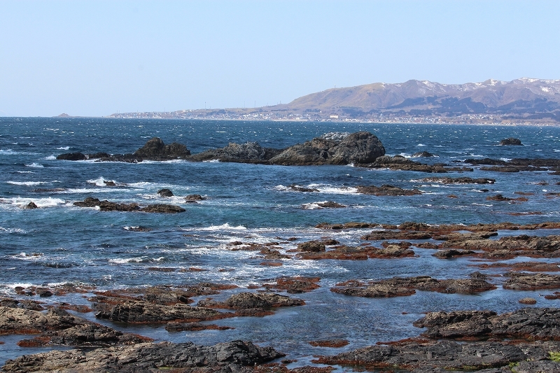 b0250154_20512147.jpg