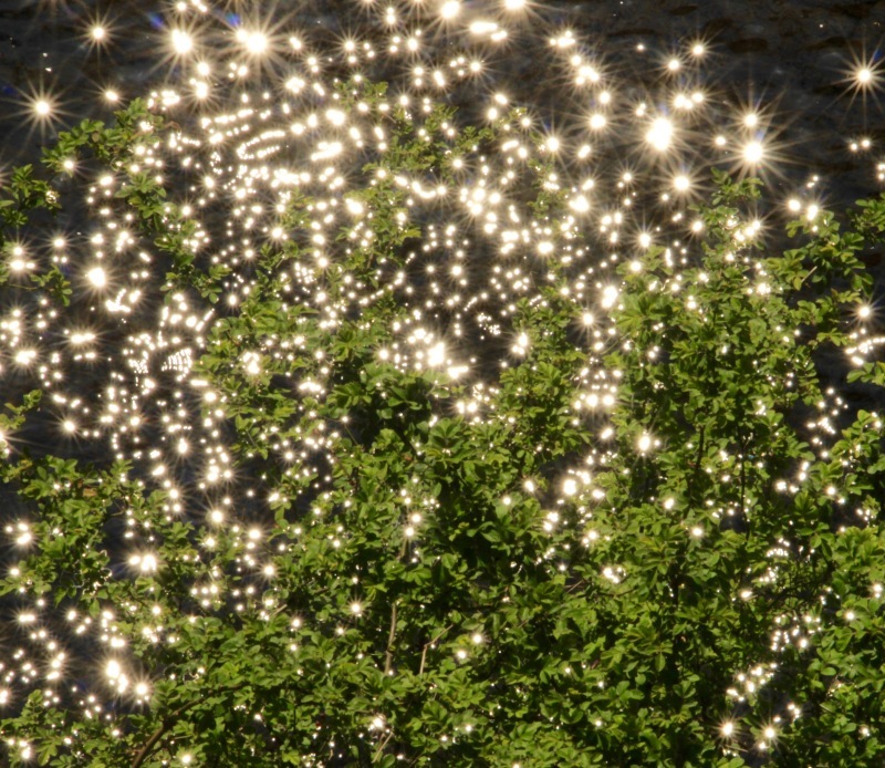 a0248459_08312691.jpg