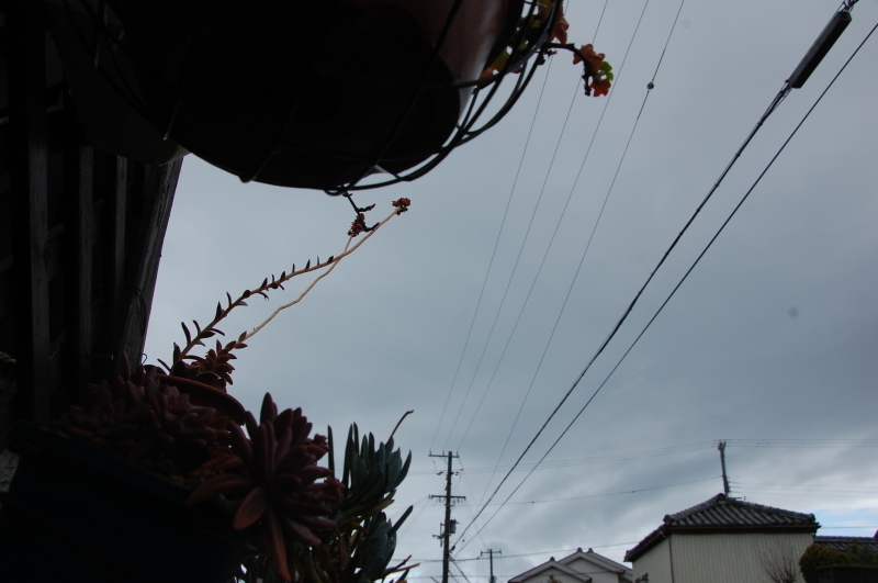 c0108460_16303979.jpg